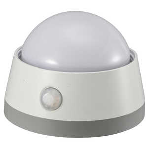オーム電機 LEDセンサーライト 明暗+人感センサー付 白色LED NIT-BLA6JD-WN