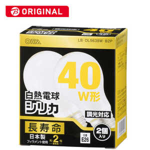 オーム電機 白熱電球 E26 40形相当 シリカ(白) 2個入 長寿命 LB-DL5638W-B2P