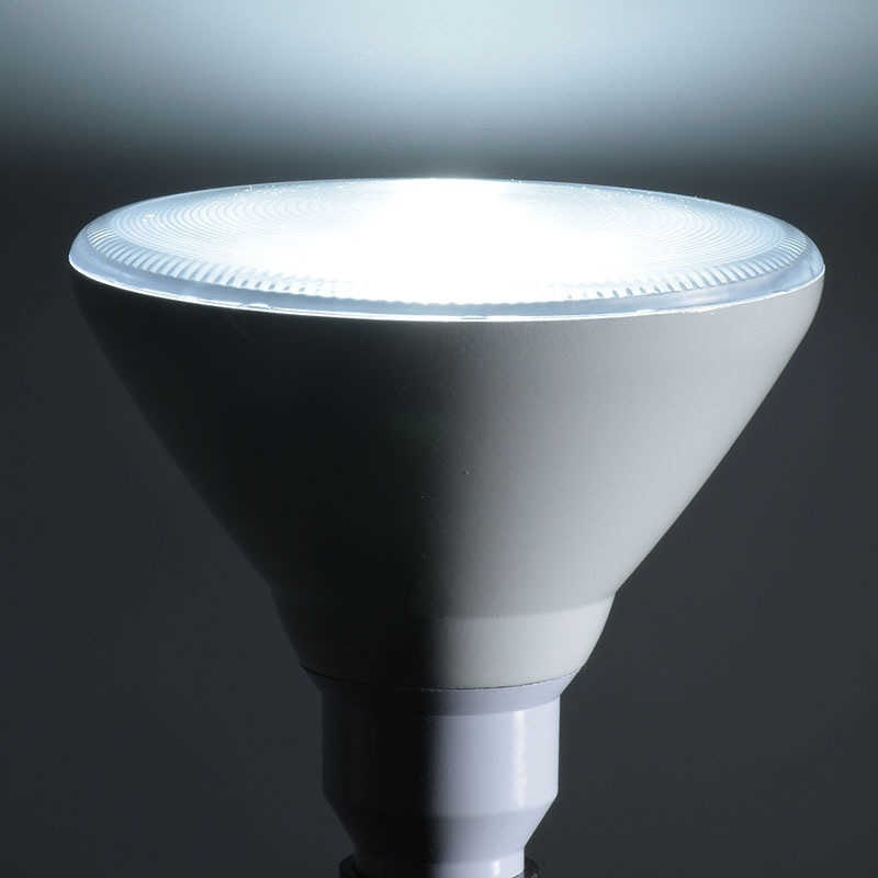 オーム電機 オーム電機 LED電球 ビームランプ形 散光形 E26 150形相当 昼光色 LDR13D-W20/150W LDR13D-W20/150W