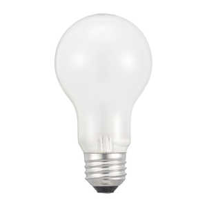 ŵ Ĺ̿Ǯŵ E26 /ŵ /100W /ŵ忧 /1ġ ꥫ LB-DL6695WN