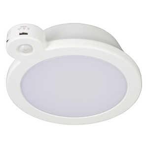 オーム電機 LEDミニシーリングライト センサー付き 60形 960ルーメン 昼光色 LE-Y9DG-W-PIR オーム電機 LEDミニシーリングライト センサー付き 60形 960ルーメン 昼光色 LE-Y9DG-W-PIR