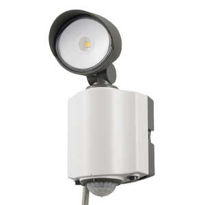 オーム電機 LEDセンサーライト 1灯 RL165Y1