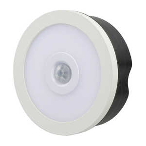 オーム電機 【屋内用】LEDタッチセンサーライト 明暗･人感センサー付 NIT-BAM2Y-WL (電球色)
