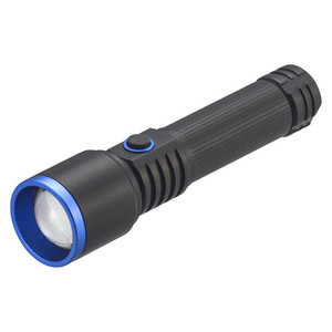 懐中電灯 lep (最終値下げ) 楽天市場】懐中電灯 充電式 ポケット 超小型 COB LED ライト