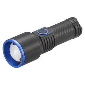 ŵ GLED饤 ż 550롼 [LED /ż /ɿб] LH-CP55A5