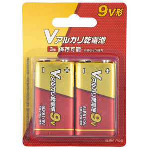 オーム電機 Vアルカリ乾電池 9V形 2本パック  [2本 /アルカリ] 6LR61VN2B
