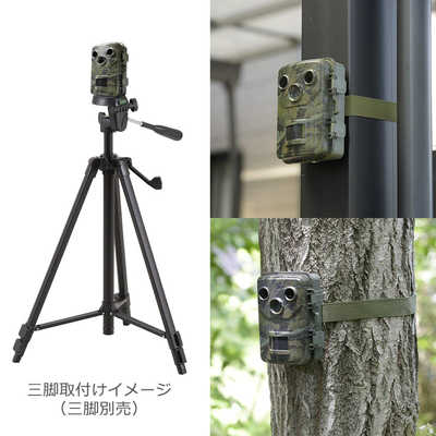 防犯カメラ　小型　トレイルカメラ　オーム電機製２個組 71XeA2YvoLL._UF350,350_QL50_.jpg