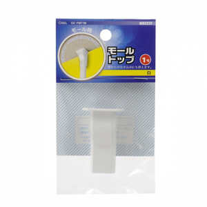 オーム電機 モール用トップ1号 ホワイト  DZFMT1W