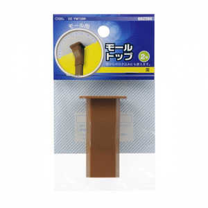 オーム電機 モール用トップ2号 ブラウン  DZFMT2BR