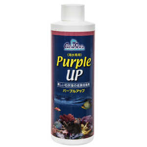 カミハタ カリブシー パープルアップ 240ml 543012
