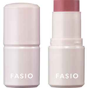 コーセー FASIO(ファシオ) マルチフェイス スティック 12 Bitter Memories コーセー FASIO(ファシオ) マルチフェイス スティック 12 Bitter Memories