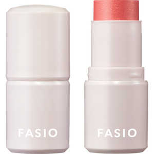 コーセー FASIO(ファシオ) マルチフェイス スティック 19 Cherry Flambe コーセー FASIO(ファシオ) マルチフェイス スティック 19 Cherry Flambe