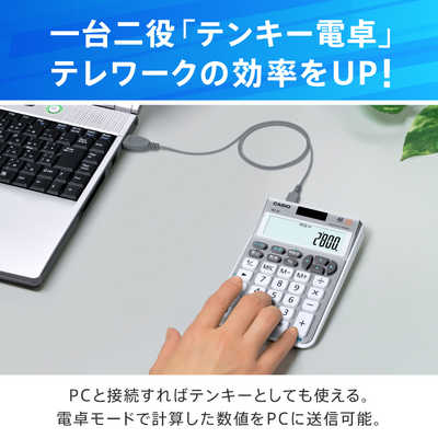 カシオ CASIO テンキー電卓(12桁) MZ-20-SR-N (ブリリアント