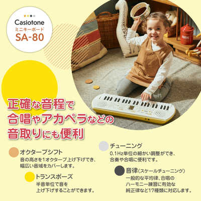 鍵盤楽器 atata 中古 KORG N264 シンセサイザー Music work station 76鍵盤 楽器
