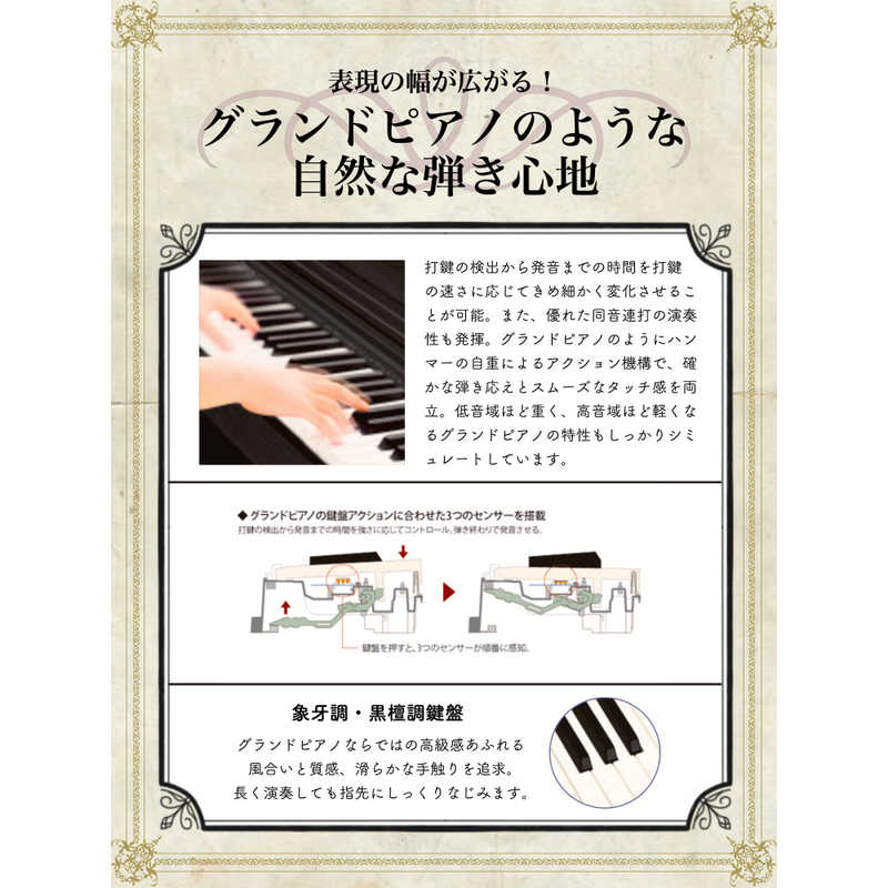 カシオ　CASIO カシオ　CASIO 電子ピアノ オークウッド調 [88鍵盤] AP-270BN AP-270BN