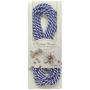 ץƥ åȥ󥳡 顼8 CP174