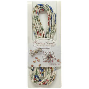 ץƥ åȥ󥳡 顼13 CP174