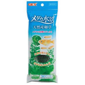 ジェックス メダカ水景 天然産卵草 