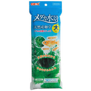 ジェックス メダカ水景 天然産卵草 大 