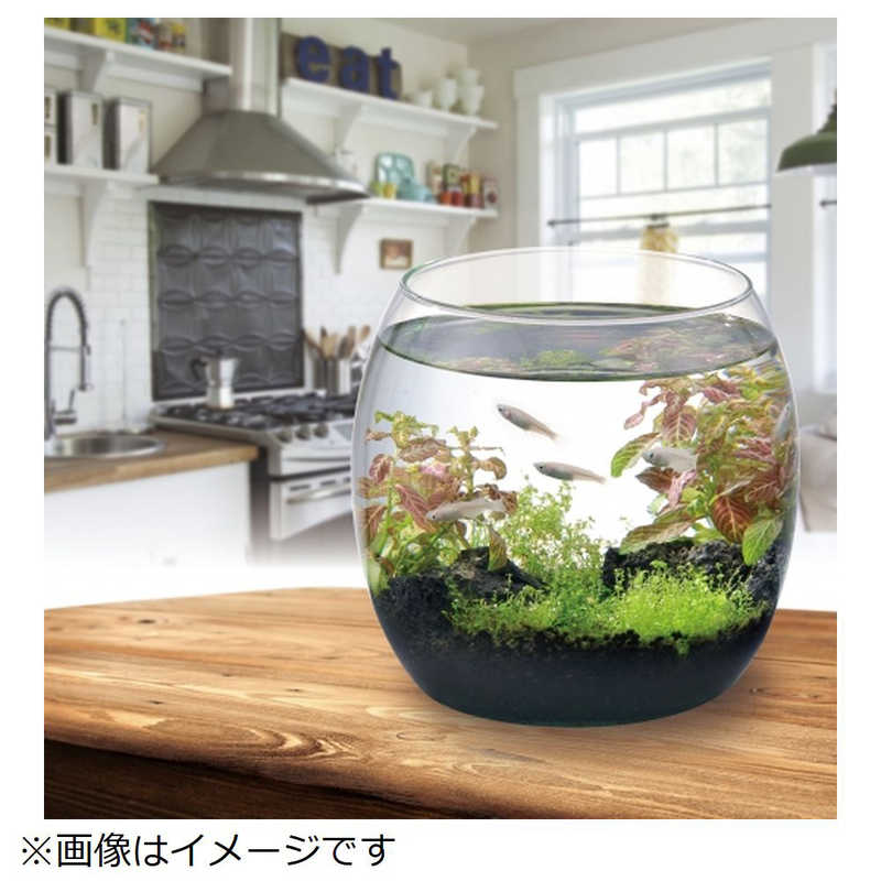 ジェックス グラスアクアリウム ドロップ グラスドロツプ の通販 カテゴリ 日用品 化粧品 医薬品 ジェックス 家電通販のコジマネット 全品代引き手数料無料