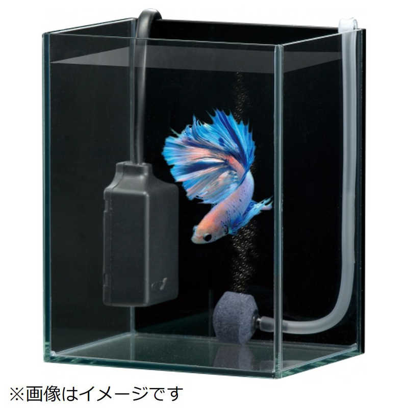 ジェックス ベタヒｰタｰ Sh10 ベタヒ タ 10 の通販 カテゴリ 日用品 化粧品 医薬品 ジェックス 家電通販のコジマネット 全品代引き手数料無料