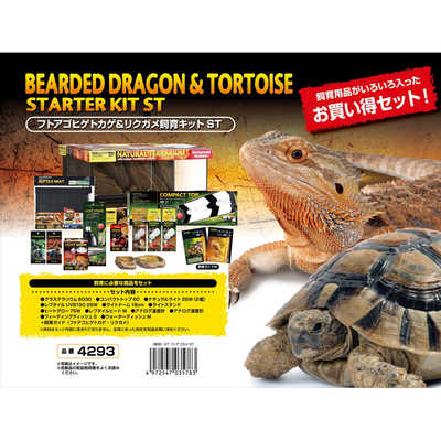 ジェックスフトアゴヒゲトカゲ&リクガメ飼育セットBセット（シェルター小） | ペットマーケットアニマル