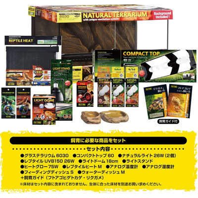 ジェックスフトアゴヒゲトカゲ&リクガメ飼育セットBセット（シェルター小） | ペットマーケットアニマル