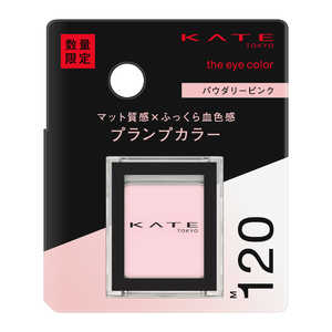 カネボウ ケイト KATE ザ アイカラー M120 カネボウ ケイト KATE ザ アイカラー M120