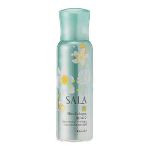 カネボウ SALA(サラ) 髪コロンB(サラの香り)(80g) 
