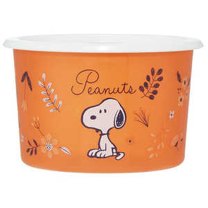 スケーター ワンタッチシール容器S SNOOPY SOT6 スケーター ワンタッチシール容器S SNOOPY SOT6