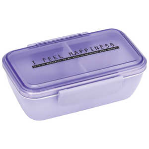 スケーター シースルー 抗菌スタイリッシュ弁当箱530ml(ペールラベンダー) PFTY5AG スケーター シースルー 抗菌スタイリッシュ弁当箱530ml(ペールラベンダー) PFTY5AG