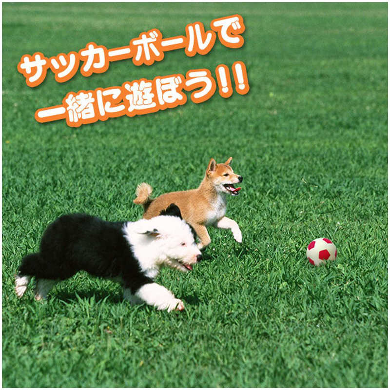 スーパーキャット スーパーキャット わんわんサッカーブルーWN2  