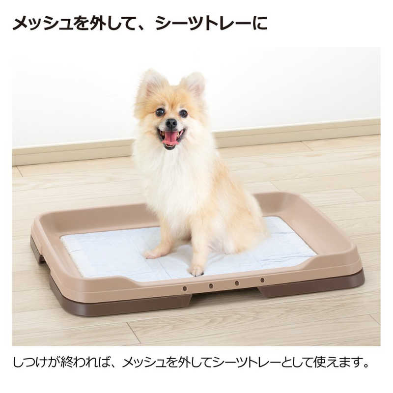 リッチェル リッチェル お掃除簡単ステップトレーレギュラー  
