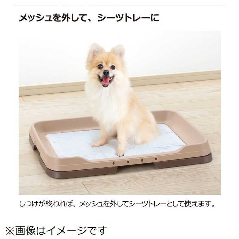 リッチェル リッチェル お掃除簡単ステップトレーレギュラー(アイボリー)[犬用]  