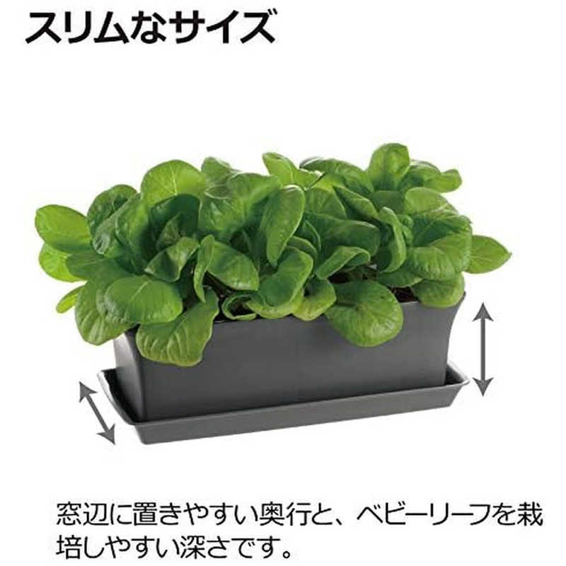 リッチェル リッチェル ベビーリーフプランター40型N ダークグレー ベビーリーフプランター40ガタN ベビーリーフプランター40ガタN