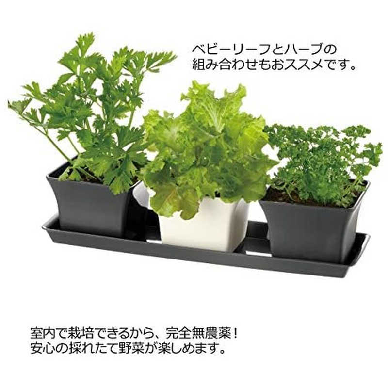 リッチェル リッチェル ベビーリーフプランター40型N ダークグレー ベビーリーフプランター40ガタN ベビーリーフプランター40ガタN