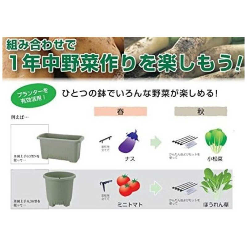 リッチェル リッチェル 菜園上手丸36型 グリーン サイエンジョウズマル36ガタ サイエンジョウズマル36ガタ