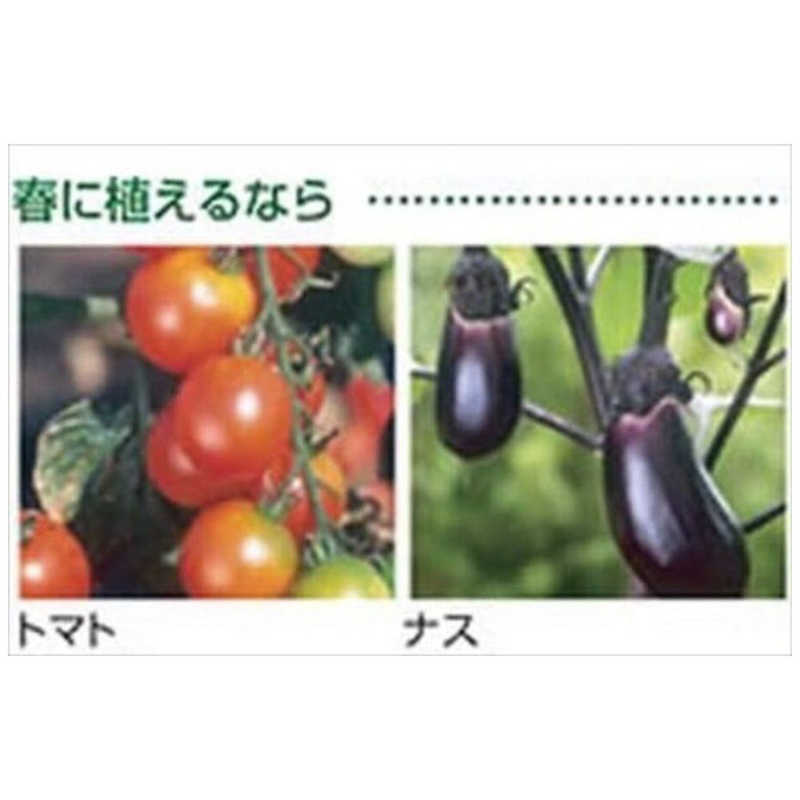 リッチェル リッチェル 菜園上手丸36型 グリーン サイエンジョウズマル36ガタ サイエンジョウズマル36ガタ