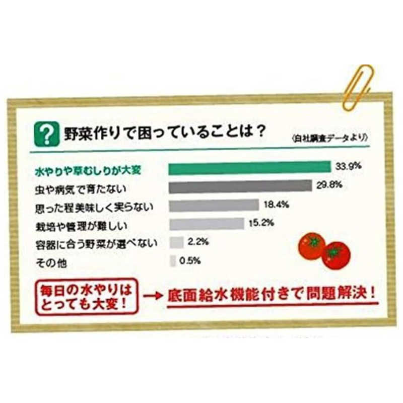 リッチェル リッチェル 水ラク菜園上手85型 グリーン ミズラクサイエンジョウズ85ガタ ミズラクサイエンジョウズ85ガタ