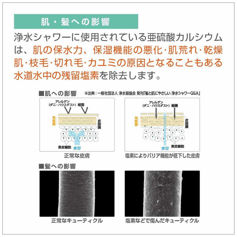 三栄水栓 三栄水栓 浄水ウルトラファインバブルシャワー ホースセット PS7964-CT6A-MW2 PS7964-CT6A-MW2