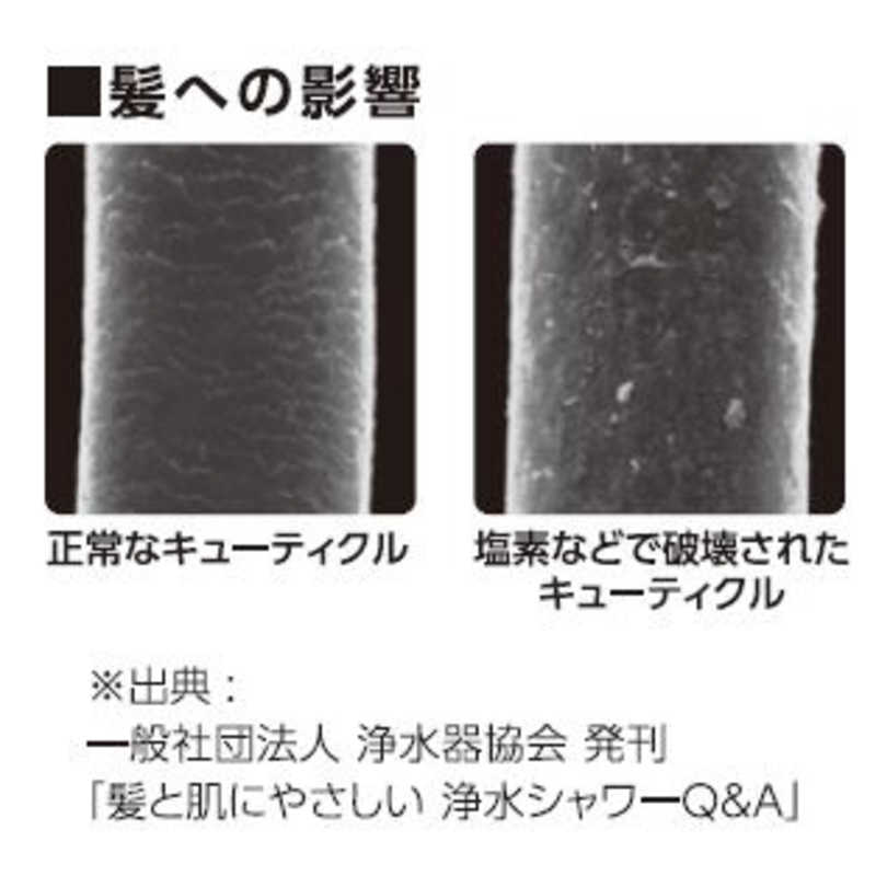 三栄水栓 三栄水栓 浄水シャワー ｢シャモジー｣(バスルーム用) PS7963-80XAB-MW2 PS7963-80XAB-MW2