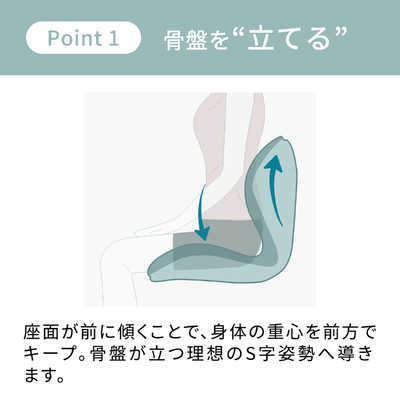 MTG】新色グレー Style PREMIUM（スタイルプレミアム） 座椅子骨盤矯正