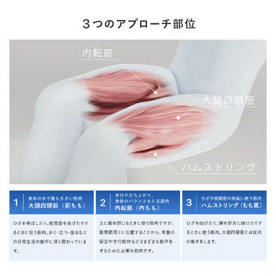 MTG シックスパッド レッグベルト2 SIXPAD Leg Belt 2(S-Mサイズ