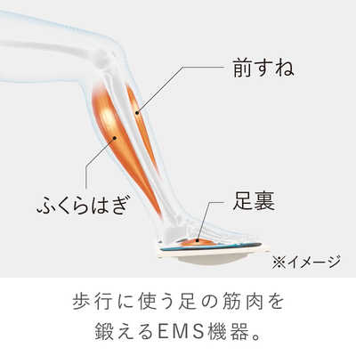 MTG シックスパッド フットフィット3 コンパクト SIXPAD Foot Fit 3