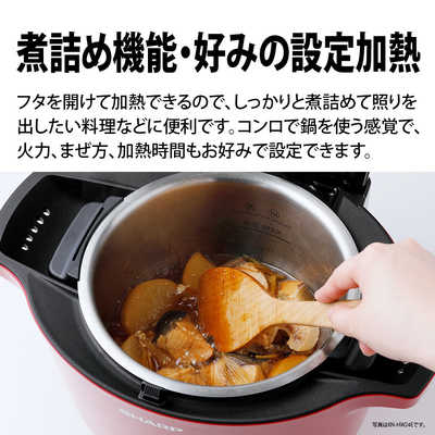 SHARP ヘルシオ ホットクック KN-HW16E-R（シャープ SHARP 水