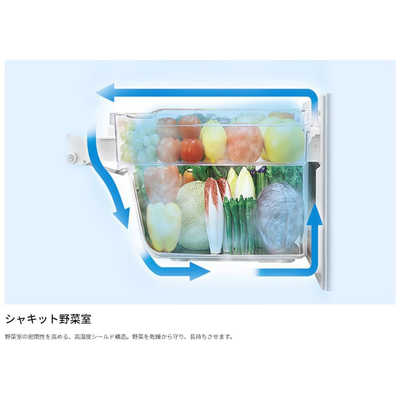 シャープ SHARP 冷蔵庫 2ドア プラズマクラスター冷蔵庫 右開き 280L