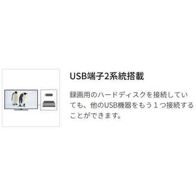 シャープ SHARP 【アウトレット】液晶テレビ AQUOS(アクオス