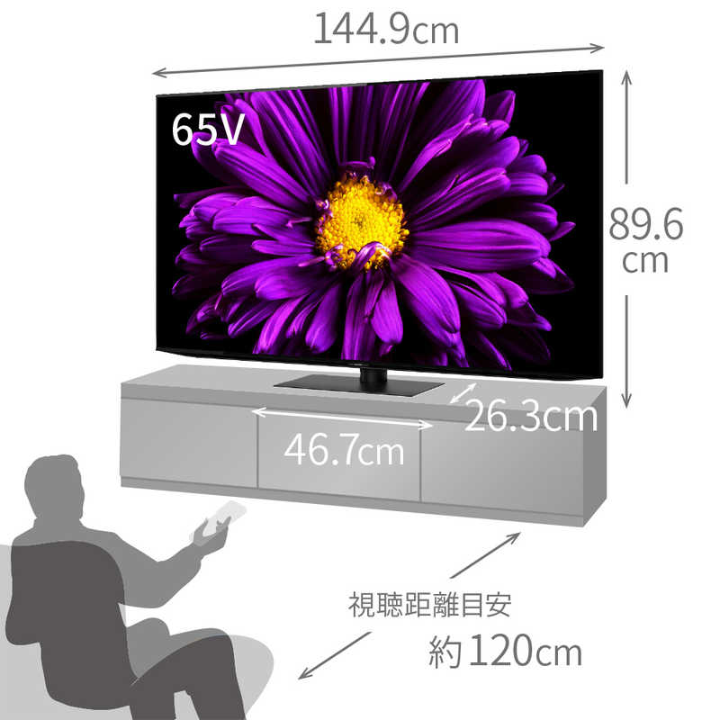 シャープ　SHARP シャープ　SHARP 有機ELテレビ AQUOS アクオス 65V型 4K対応 BS・CS 4Kチューナー内蔵 YouTube対応 4T-C65DQ1　 4T-C65DQ1　