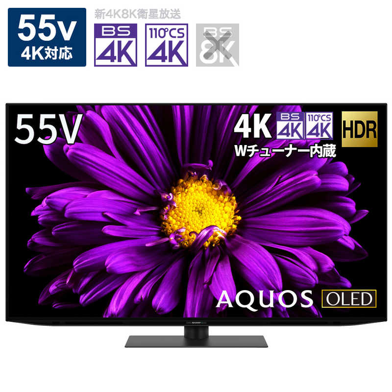 シャープ　SHARP シャープ　SHARP 有機ELテレビ AQUOS アクオス 55V型 4K対応 BS・CS 4Kチューナー内蔵 YouTube対応 4T-C55DQ1　 4T-C55DQ1　