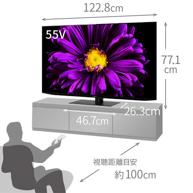 シャープ　SHARP シャープ　SHARP 有機ELテレビ AQUOS アクオス 55V型 4K対応 BS・CS 4Kチューナー内蔵 YouTube対応 4T-C55DQ1　 4T-C55DQ1　